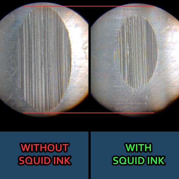 File:SQUID INK WITH WITHOUT.png
